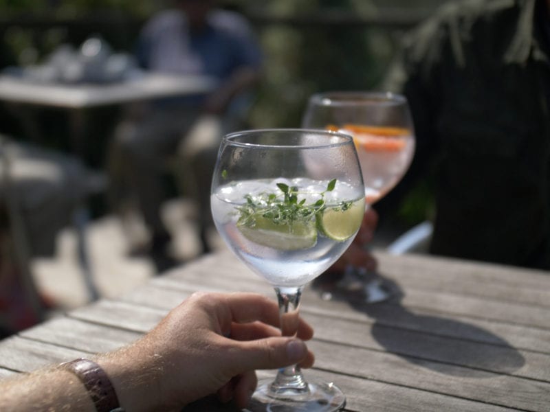 a picture of a two gin and tonics with fruit in them