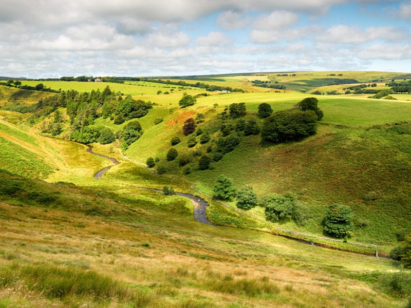 a picture of rolling hill countryside with a road travelling through it